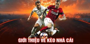 Sơ lược thông tin về kèo nhà cái W88